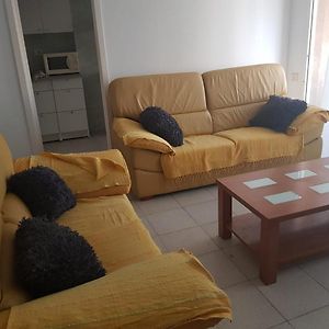 Shared Apartment Little Kaktus